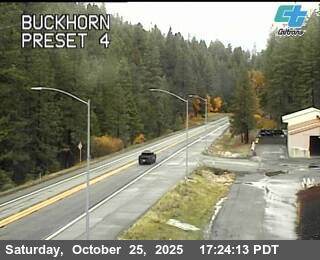 Buckhorn