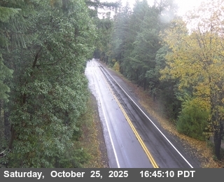 US-199 : South Of Oregon State Line - Looking East (C016)