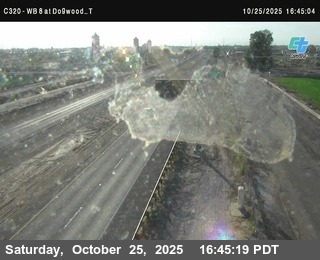(C320) WB 8 :  Dogwood_T