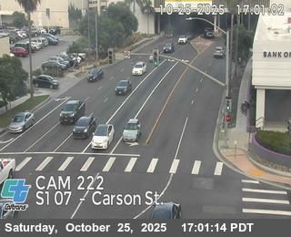 SR-107 : (222) Carson Blvd