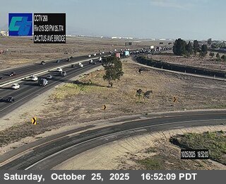 I-215 : (268) Cactus Avenue