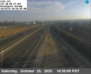 I-215 : (271) Eucalyptus